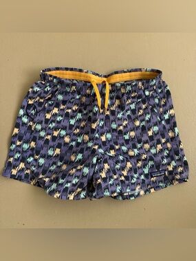Patagonia Purple Swim Shorts with Mint and Yellow Accents